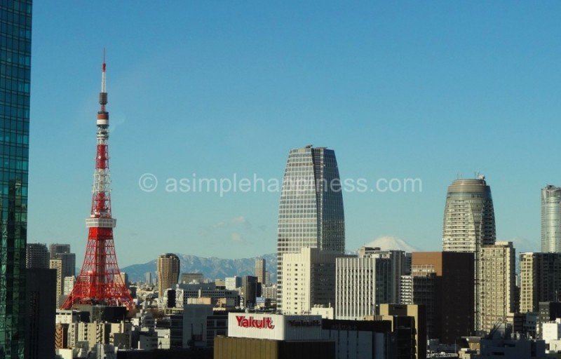 14tokyo_mitsui_view